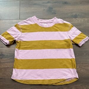 Madewell Pink and Tan Striped Tee